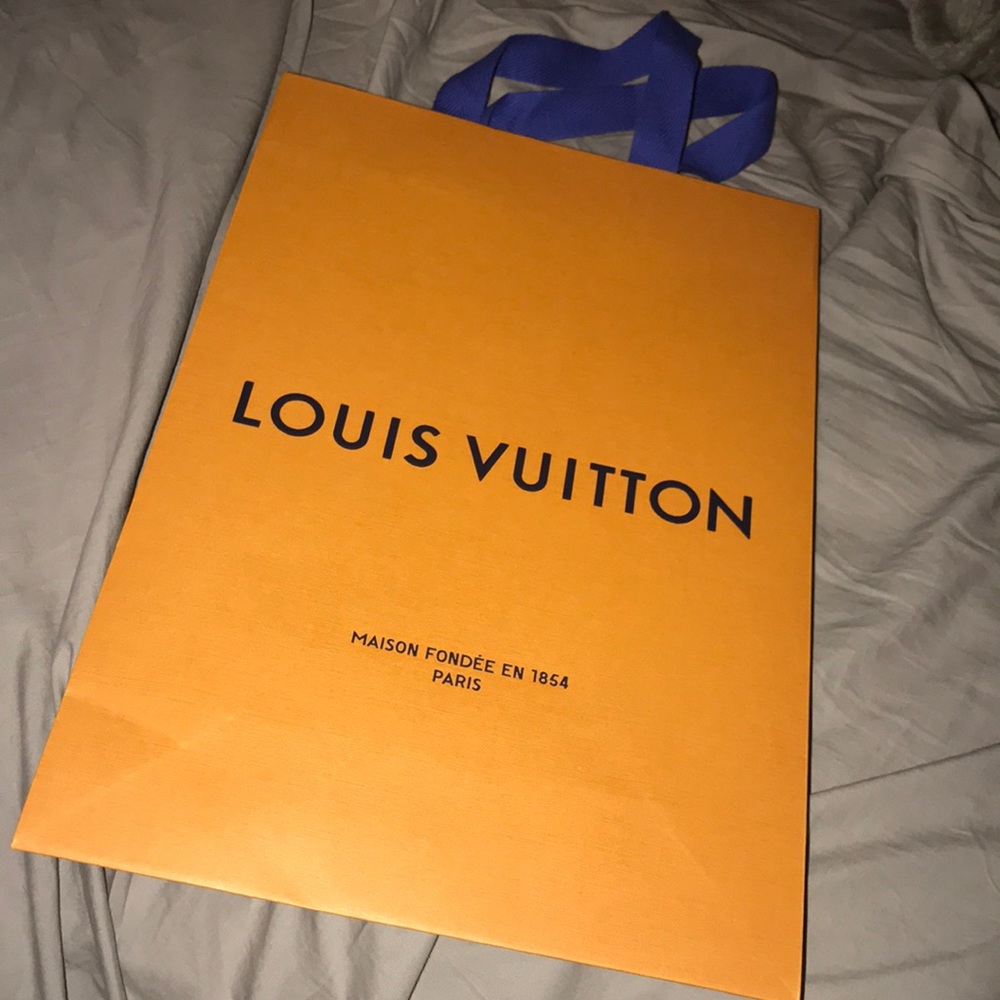 Louis Vuitton paper bag
